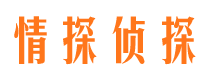 淮阳私家调查公司